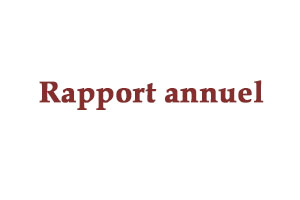 img rapport annuel